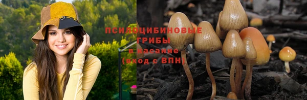 СК Арсеньев