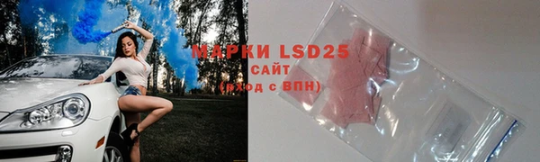 стафф Аркадак