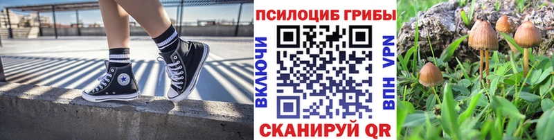 Псилоцибиновые грибы Magic Shrooms  Невьянск 
